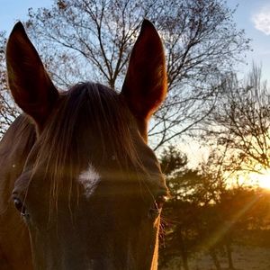 Meet your Posher, Sam